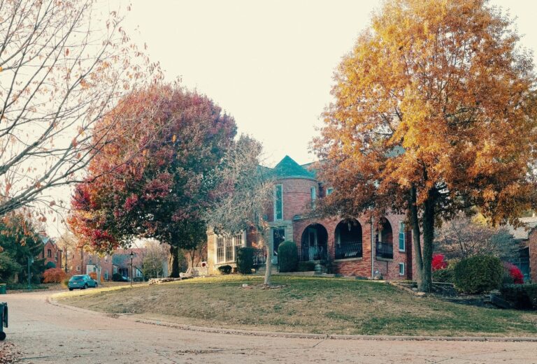 Rough Real Estate Auction