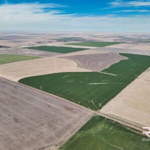 238+/- Acres of Excellent Tillable in Rush County, Ks