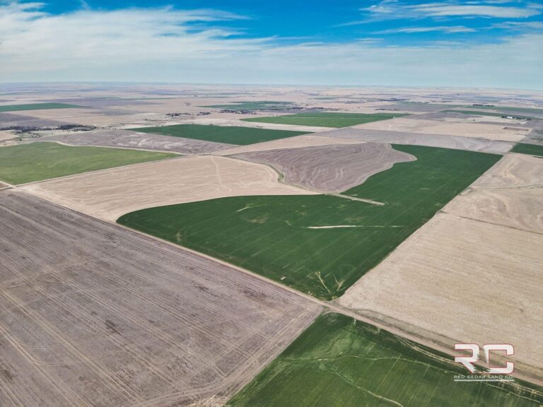 238+/- Acres of Excellent Tillable in Rush County, Ks