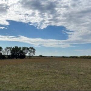 Berryton, KS -  Land Auction 68 ac m/l